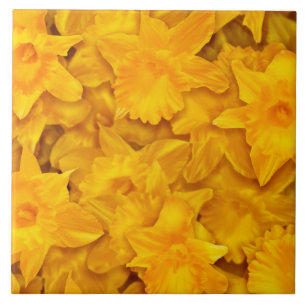 Narcissus Flowers Tile