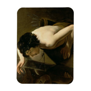 Narcissus Magnet