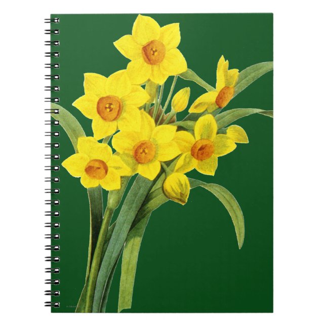 Narcissus (N Tazetta) Spiral Notebook (Front)