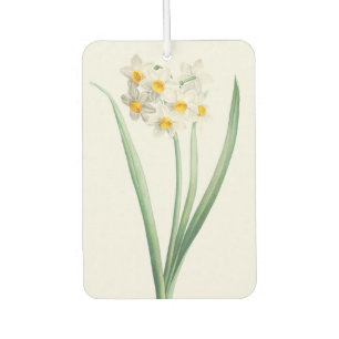 Narcissus, Pierre-Joseph Redouté, 1805 Car Air Freshener