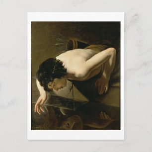 Narcissus Postcard