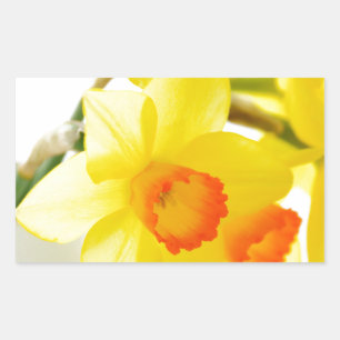 narcissus rectangular sticker