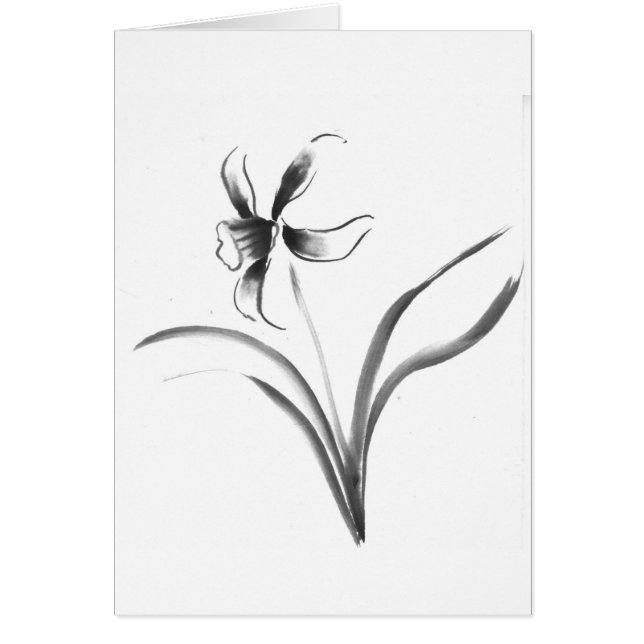 Narcissus, Sumi-e flower (Front)
