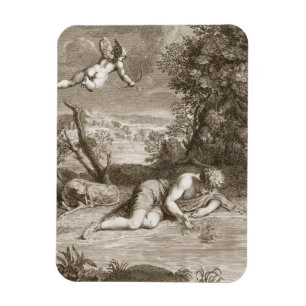 Narcissus Transformed into a Flower, 1730 (engravi Magnet