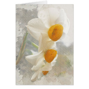 Narcissus. Watercolor.