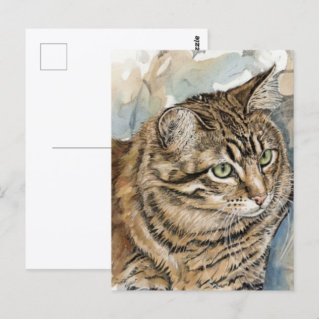 Nari- A study of my cat Postcard (Front/Back)