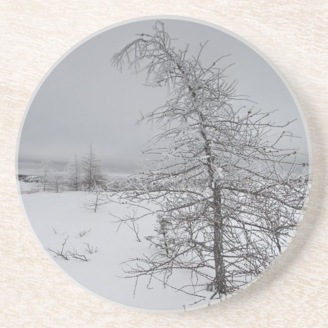 Narnia Coaster (Front)