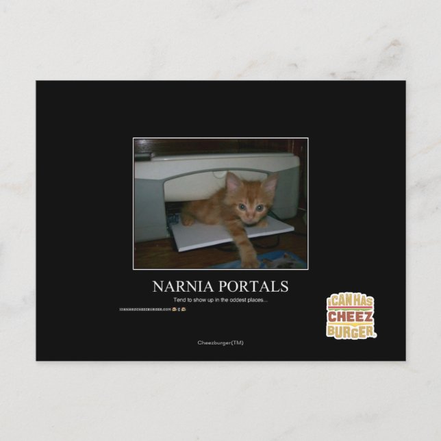Narnia Portals Postcard (Front)
