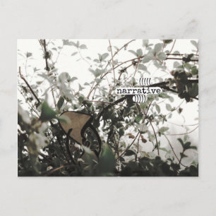 (((((narrative))))) postcard
