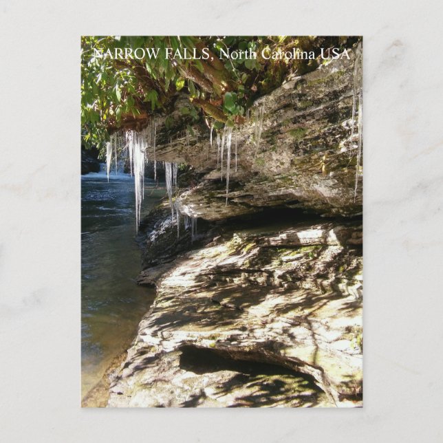 Narrow Falls, NC Postcard (Front)