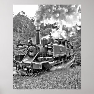 Narrow Gauge Steam Train Black and White Poster