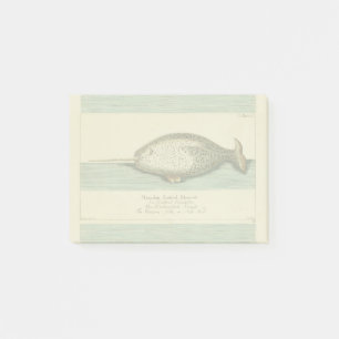 Narwhal Antique Whale Watercolor Painting Post-it Notes