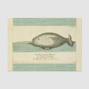 Narwhal Antique Whale Watercolor Painting Tissue Paper