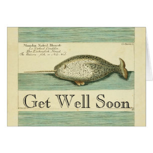Narwhal Antique Whale Watercolor Scientific Art
