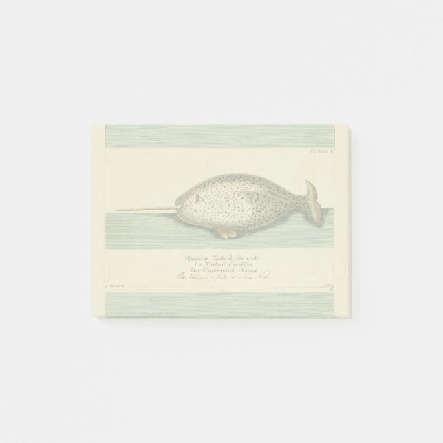 Narwhal Antique Whale Watercolor Scientific Art Post-it Notes (Front)