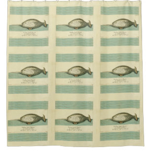 Narwhal Antique Whale Watercolor Scientific Art Shower Curtain