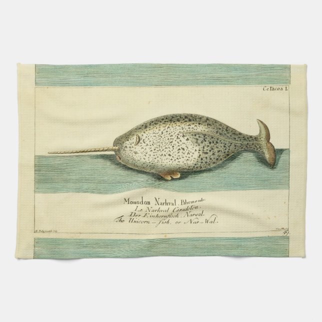 Narwhal Antique Whale Watercolor Scientific Art Tea Towel (Horizontal)