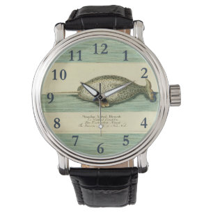 Narwhal Antique Whale Watercolor Scientific Art Watch