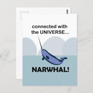 Narwhal Connected With The Universe Narwhal Postcard