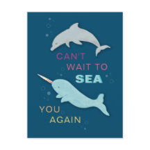 Narwhal Dolphin Friends