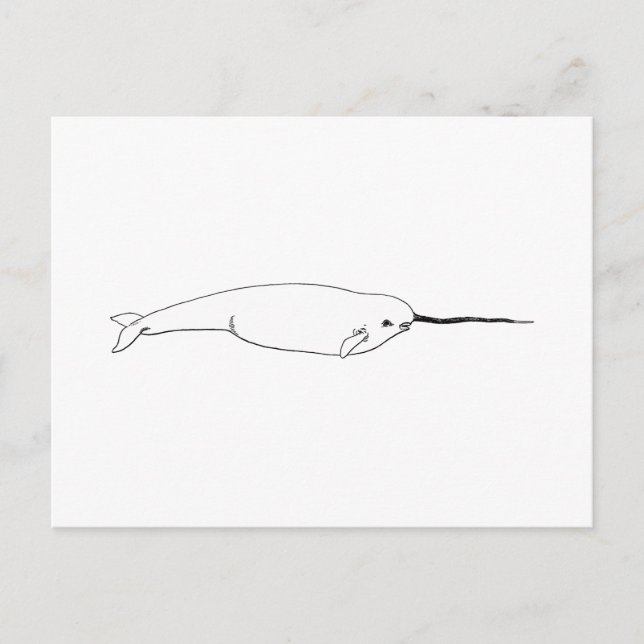 Narwhal (line art illustration) postcard (Front)
