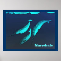 Narwhal