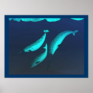 Narwhal Poster