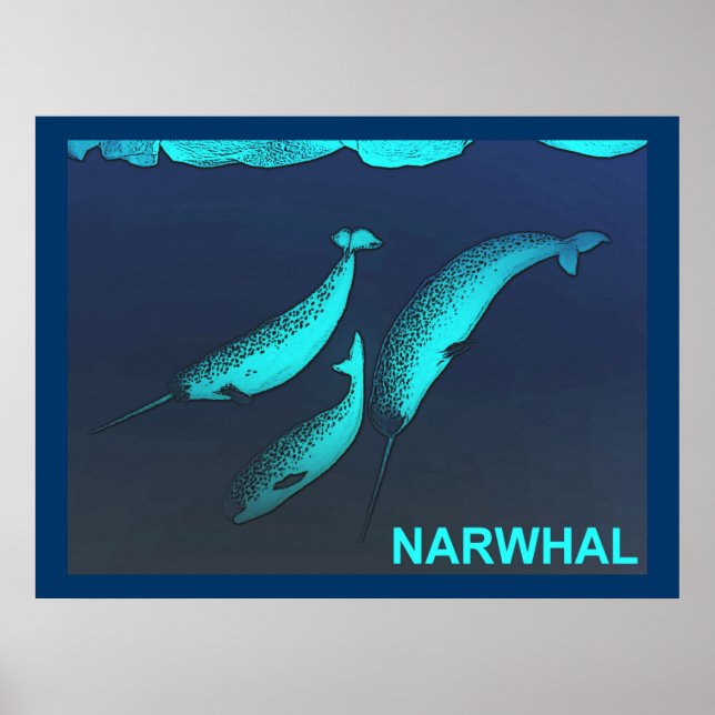 Narwhal Poster (Front)