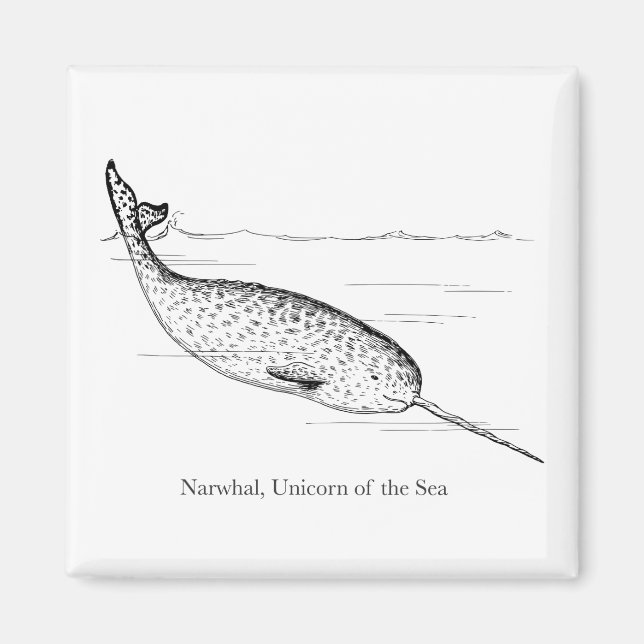 Narwhal Whale Unicorn of the Sea Magnet (Front)
