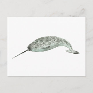 Narwhal whale watercolor postcard