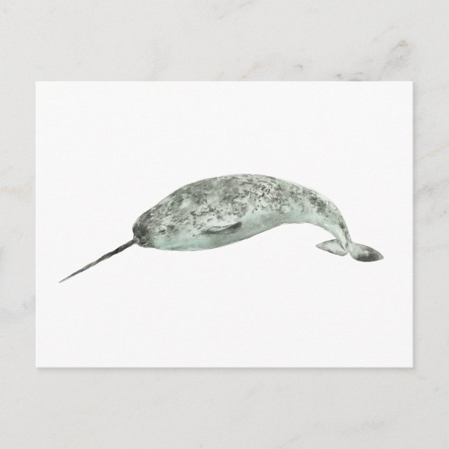 Narwhal whale watercolor postcard (Front)