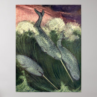 Narwhals, Vintage Marine Life Whales Ocean Animals Poster