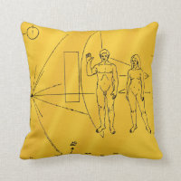 NASA Pioneer 10 Space Probe Gold Plaque