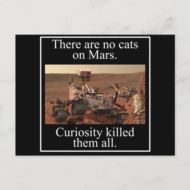 NASA's Curiosity Rover & No Cats On Mars Postcard (Front)