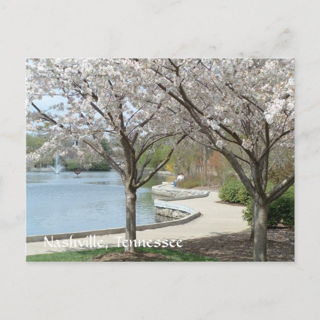 Nashville - Centennial Park in Bloom Postcard (Front)