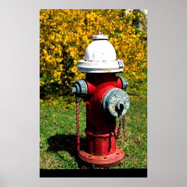 Nashville fire hydrant poster (Front)