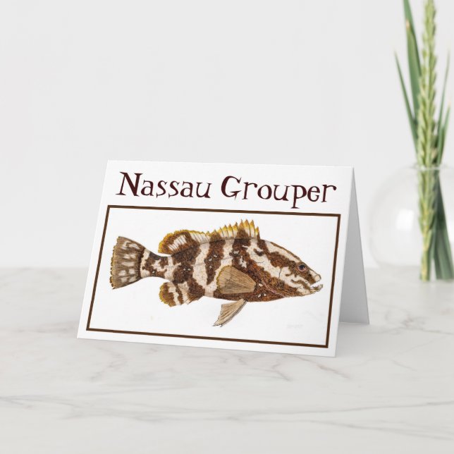 Nassau Grouper Card (Front)