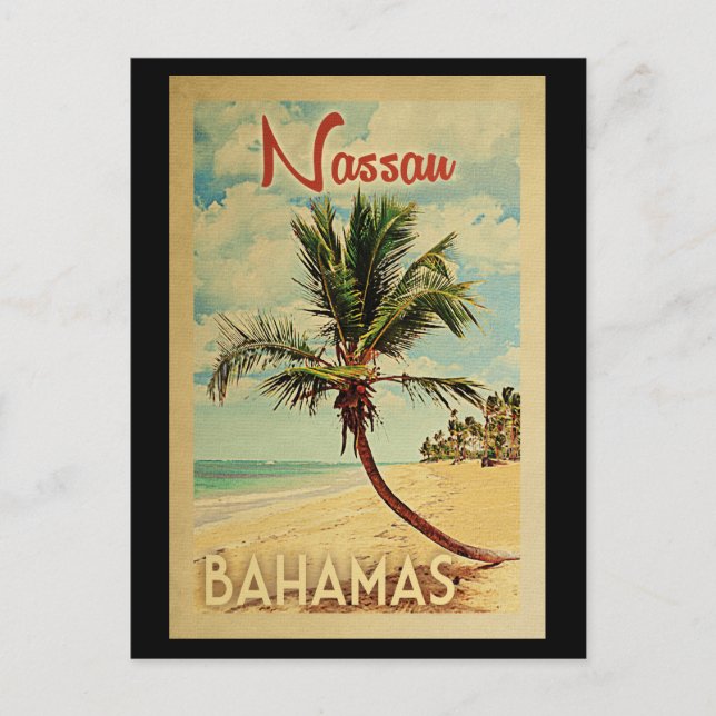 Nassau Postcard Palm Tree Vintage Travel Bahamas (Front)