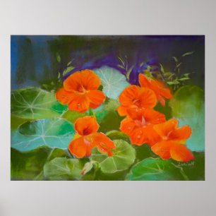 Nasturtium Bloom - Botanical Pastel Poster