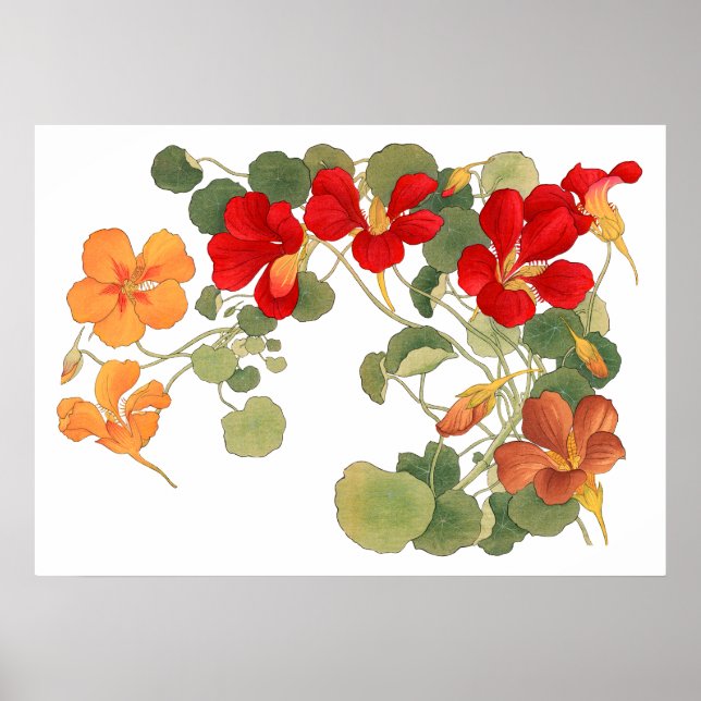 Nasturtium flower , Japanese ukiyo e art Poster (Front)