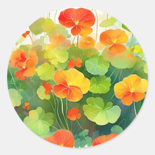 Nasturtium Flowers Vibrant Classic Round Sticker