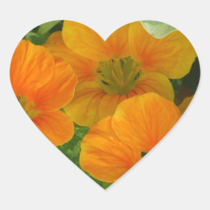 Nasturtium Heart Sticker