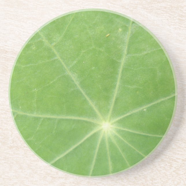 Nasturtium Leaf Coasters (Front)