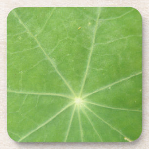 Nasturtium Leaf Cork Coaster