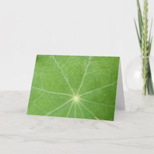 Nasturtium Leaf Greeting Card