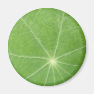 Nasturtium Leaf Magnet