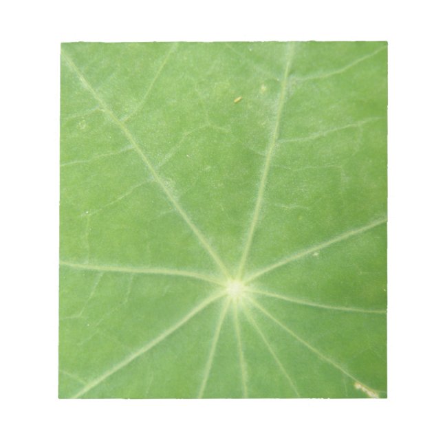 Nasturtium Leaf Notepad (Front)