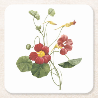nasturtium(Tropaeolum majus) by Redouté Square Paper Coaster