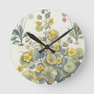 Nasturtiums and Daisies: 1.Nasturtium Indicum; 2.B Round Clock