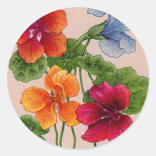 nasturtiums classic round sticker